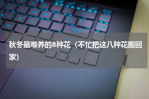 秋冬最难养的8种花（不忙把这八种花搬回家）