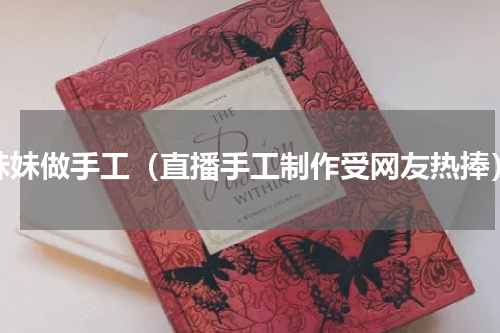 妹妹做手工（直播手工制作受网友热捧）
