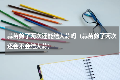 蒜苗剪了两次还能结大蒜吗（蒜苗剪了两次还会不会结大蒜）