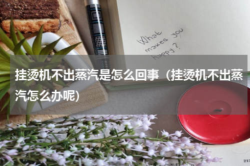 挂烫机不出蒸汽是怎么回事（挂烫机不出蒸汽怎么办呢）