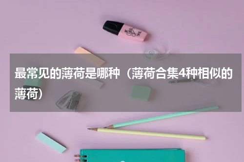 最常见的薄荷是哪种（薄荷合集4种相似的薄荷）