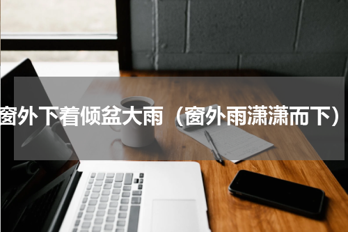 窗外下着倾盆大雨（窗外雨潇潇而下）