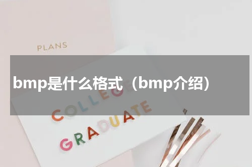 bmp是什么格式（bmp介绍）