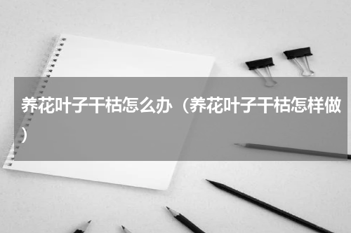 养花叶子干枯怎么办（养花叶子干枯怎样做）