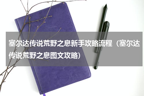 塞尔达传说荒野之息新手攻略流程（塞尔达传说荒野之息图文攻略）