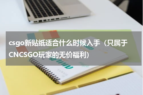 csgo新贴纸适合什么时候入手（只属于CNCSGO玩家的无价福利）