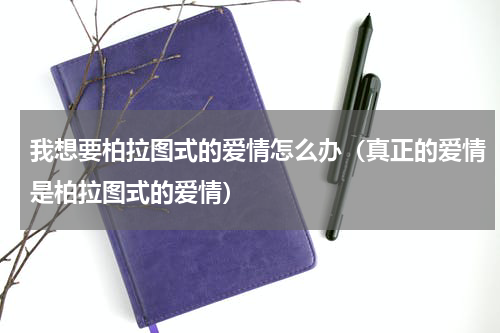 我想要柏拉图式的爱情怎么办（真正的爱情是柏拉图式的爱情）