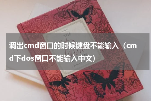 调出cmd窗口的时候键盘不能输入（cmd下dos窗口不能输入中文）