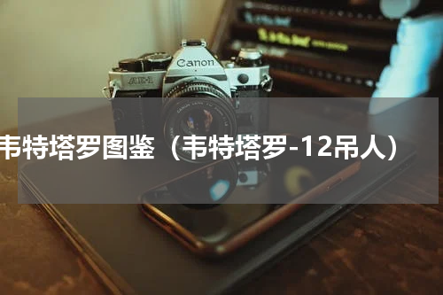 韦特塔罗图鉴（韦特塔罗-12吊人）