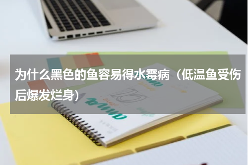 为什么黑色的鱼容易得水霉病（低温鱼受伤后爆发烂身）