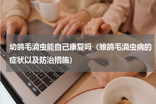 幼鸽毛滴虫能自己康复吗（雏鸽毛滴虫病的症状以及防治措施）