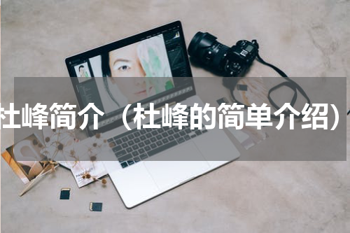 杜峰简介（杜峰的简单介绍）
