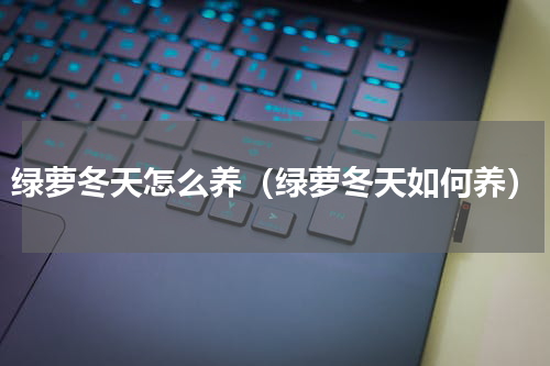 绿萝冬天怎么养（绿萝冬天如何养）