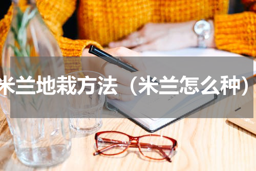 米兰地栽方法（米兰怎么种）