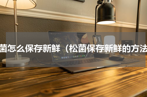 松菌怎么保存新鲜（松菌保存新鲜的方法）