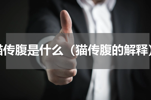 猫传腹是什么（猫传腹的解释）