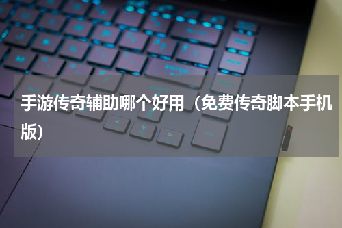 手游传奇辅助哪个好用（免费传奇脚本手机版）
