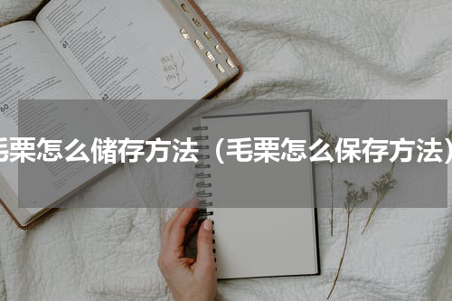 毛栗怎么储存方法（毛栗怎么保存方法）