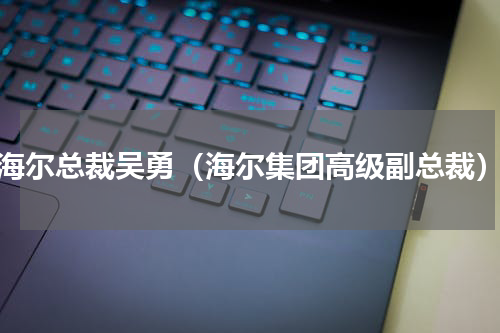 海尔总裁吴勇（海尔集团高级副总裁）