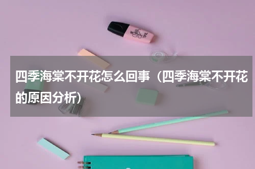 四季海棠不开花怎么回事（四季海棠不开花的原因分析）
