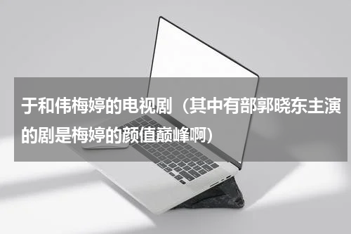 于和伟梅婷的电视剧（其中有部郭晓东主演的剧是梅婷的颜值巅峰啊）