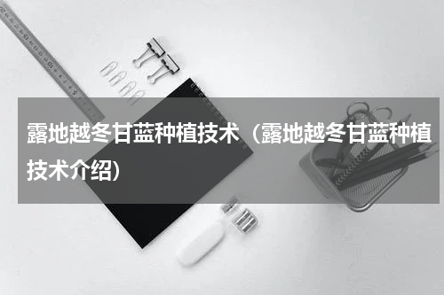 露地越冬甘蓝种植技术（露地越冬甘蓝种植技术介绍）