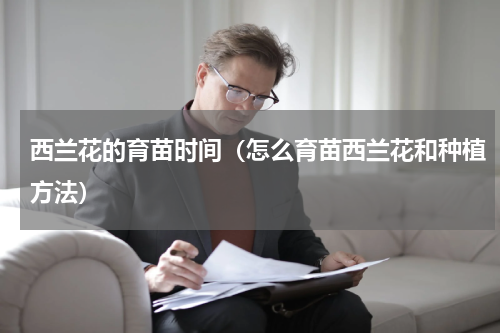 西兰花的育苗时间（怎么育苗西兰花和种植方法）