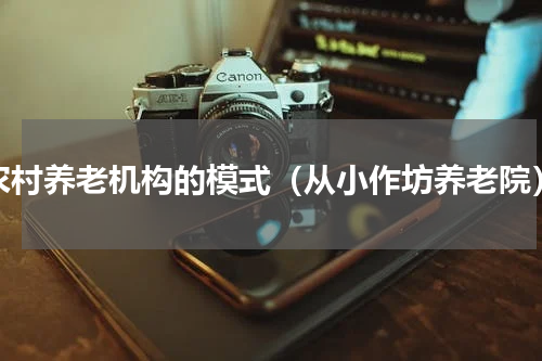 农村养老机构的模式（从小作坊养老院）