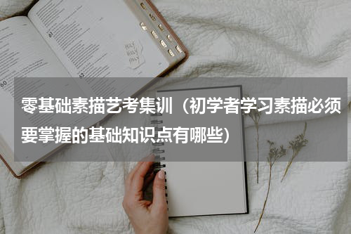 零基础素描艺考集训（初学者学习素描必须要掌握的基础知识点有哪些）