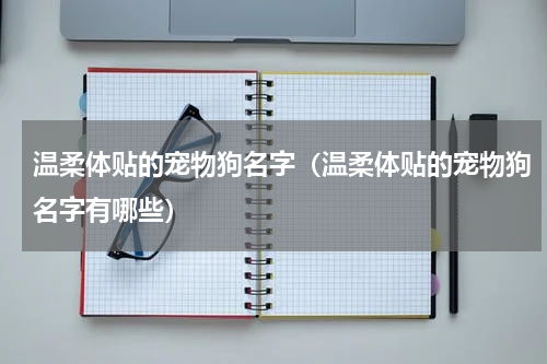 温柔体贴的宠物狗名字（温柔体贴的宠物狗名字有哪些）