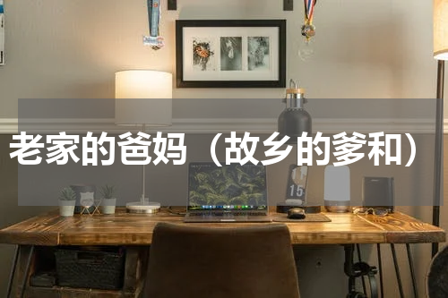 老家的爸妈（故乡的爹和）