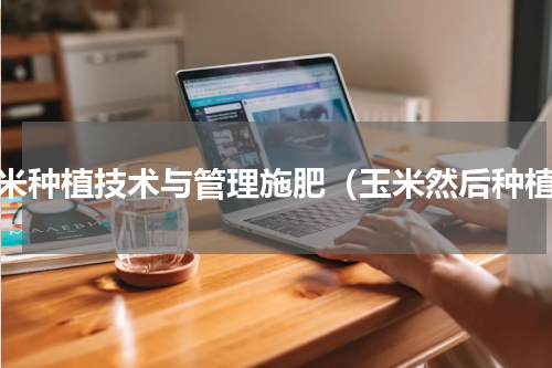 玉米种植技术与管理施肥（玉米然后种植）