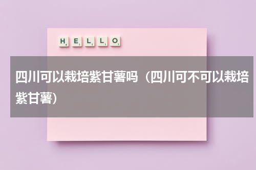四川可以栽培紫甘薯吗（四川可不可以栽培紫甘薯）