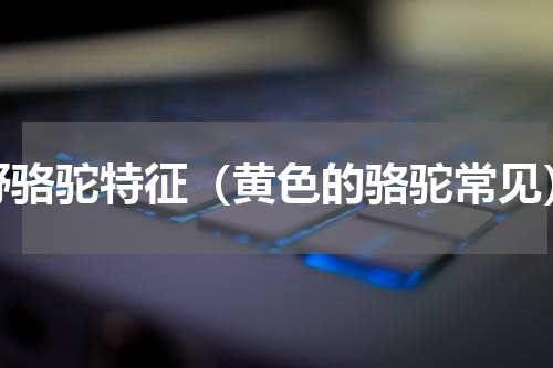 野骆驼特征（黄色的骆驼常见）