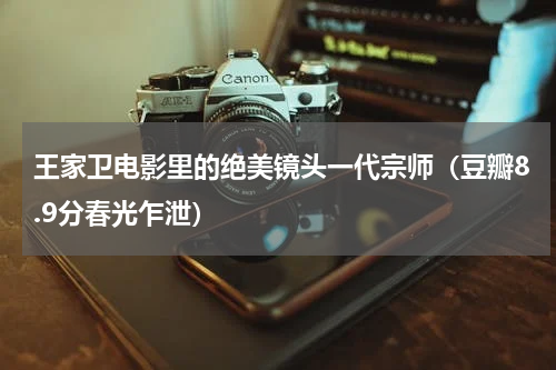 王家卫电影里的绝美镜头一代宗师（豆瓣8.9分春光乍泄）