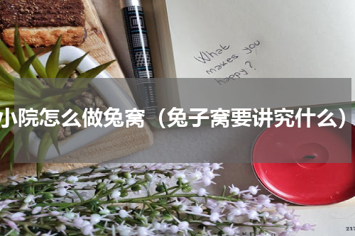 小院怎么做兔窝（兔子窝要讲究什么）