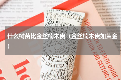 什么树苗比金丝楠木贵（金丝楠木贵如黄金）