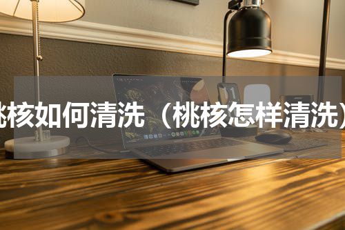 桃核如何清洗（桃核怎样清洗）
