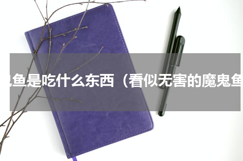 魔鬼鱼是吃什么东西（看似无害的魔鬼鱼）