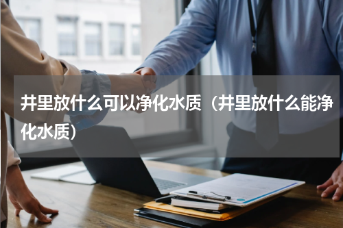 井里放什么可以净化水质（井里放什么能净化水质）