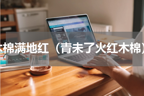 木棉满地红（青未了火红木棉）
