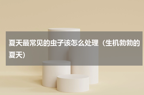 夏天最常见的虫子该怎么处理（生机勃勃的夏天）