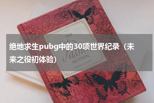 绝地求生pubg中的30项世界纪录（未来之役初体验）