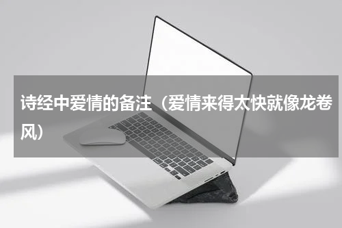 诗经中爱情的备注（爱情来得太快就像龙卷风）