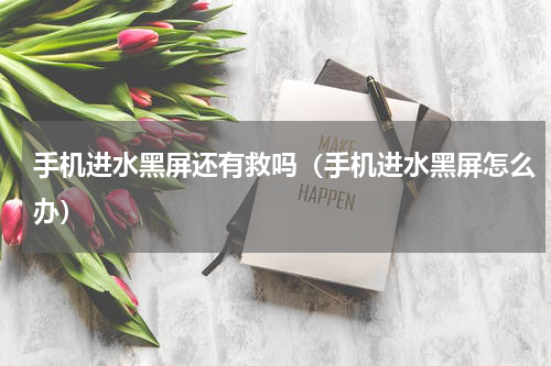 手机进水黑屏还有救吗（手机进水黑屏怎么办）