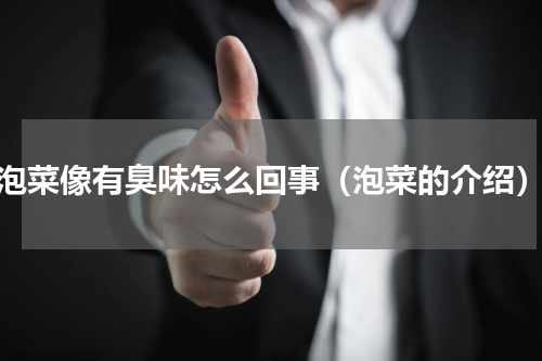 泡菜像有臭味怎么回事（泡菜的介绍）