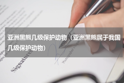 亚洲黑熊几级保护动物（亚洲黑熊属于我国几级保护动物）