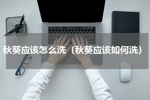 秋葵应该怎么洗（秋葵应该如何洗）