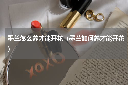 墨兰怎么养才能开花（墨兰如何养才能开花）