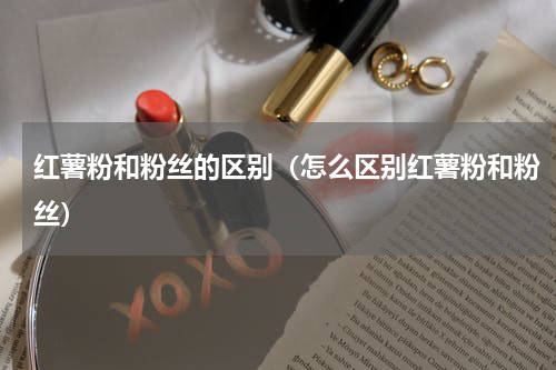 红薯粉和粉丝的区别（怎么区别红薯粉和粉丝）